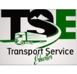 Logo TSE GmbH